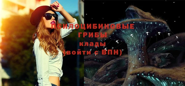 стафф Михайловск
