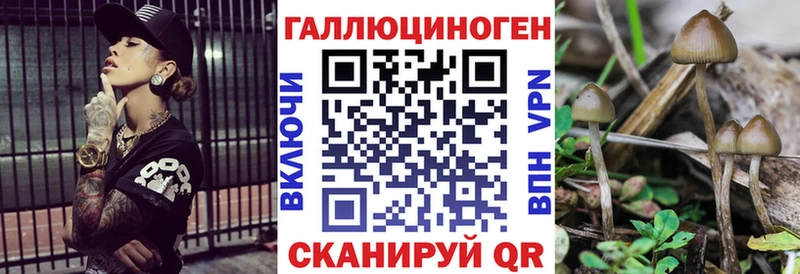 дарк нет состав Задонск Псилоцибиновые грибы MAGIC MUSHROOMS