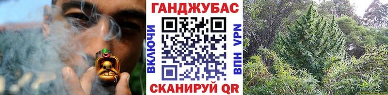 как найти   Задонск  сайты даркнета телеграм  Канабис планчик 
